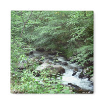 Great Smoky Mountains Stream Magnet