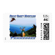Great Smoky Mountains,Tennessee Postage Stamp