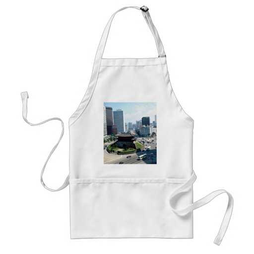 Great South Gate (Sungyemun), Seoul, South Korea Aprons