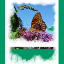 Great Spangled Frit ~ T t-shirts