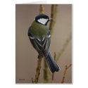 Great Tit card