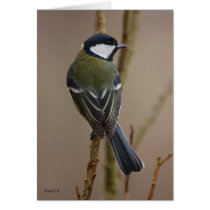 Great Tit card