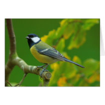 Great Tit in the autumn greeting card cards