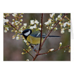 Great Tit on rainy day greeting card