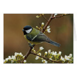 Great Tit on rainy day greeting card
