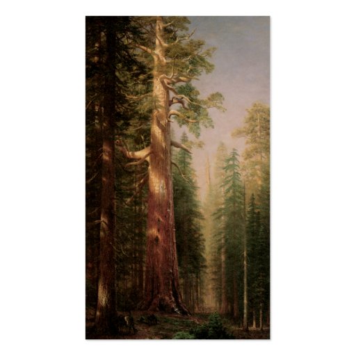 Great Trees, Mariposa Grove, California, Bierstadt Business Card (back side)