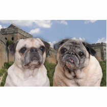 Great wall of PUG china sculpture photo sculptures by pugdogproductions Great wall of PUG china sculpture photo sculptures