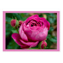 Great Western Gift Tag business cards