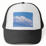 Great white egret, beautiful clouds Great white egret, beautiful clouds