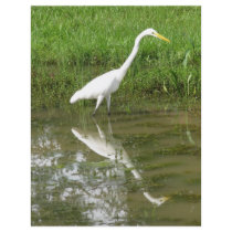 Great White Egret Personalized Flyer
