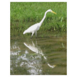 Great White Egret Personalized Flyer