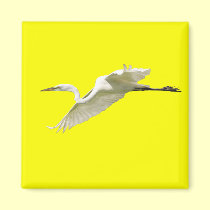 Great White Egret in Flight magnets
