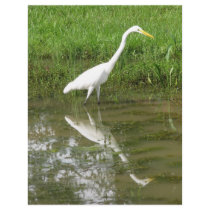 Great White Egret letterhead by naturegirl7 Great White Egret letterhead