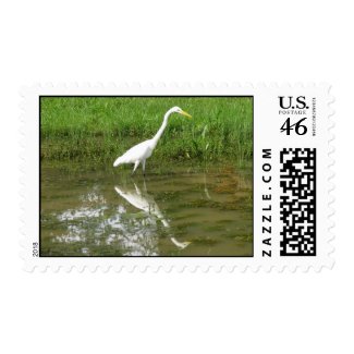 Great White Egret stamp