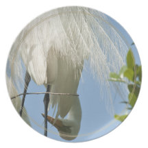 Great White Heron Bottoms Up Plate