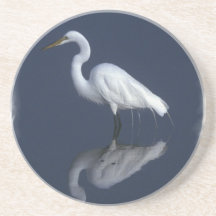 Great White Heron Coaster