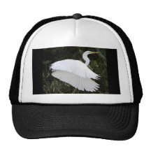 Great White Heron Mesh Hat