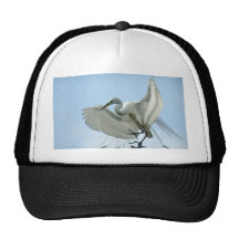 Great White Heron Photograph Hat