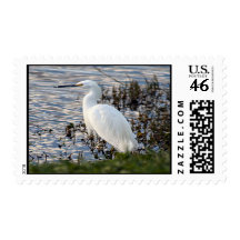 Great White Heron Postage Stamp