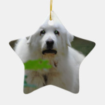 Great White Pyrenees Dog Ornament