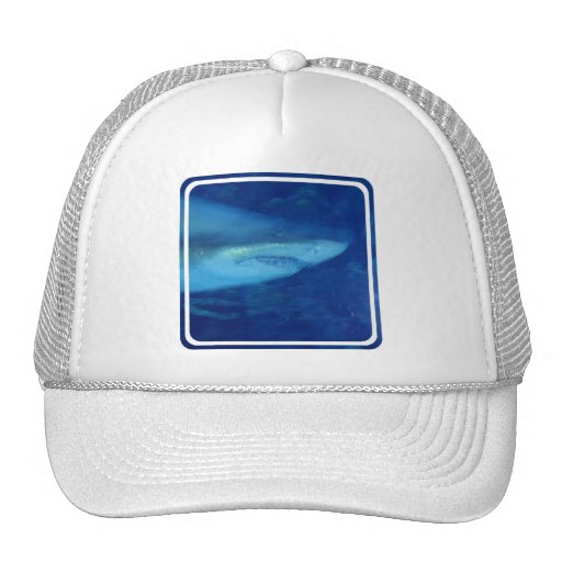 Great White Shark Baseball Hat