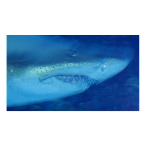 Great White Shark Business Card (back side)