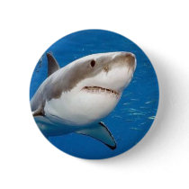 Great White Shark Pins