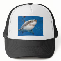 Great White Shark Hat