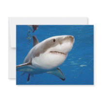 Great White Shark Invite