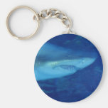 Great White Shark Keychain