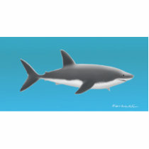 Great White Shark Photo Cutout