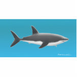 Great White Shark Photo Cutout