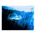 Great White Shark posters