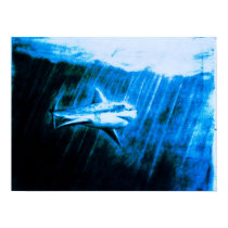 Great White Shark posters by HowellArt Great White Shark posters