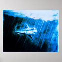 Great White Shark posters