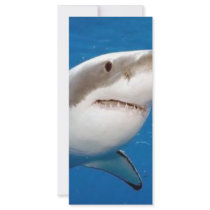 Great White Shark Rack Card Template