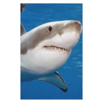 Great White Shark Customized Stationery