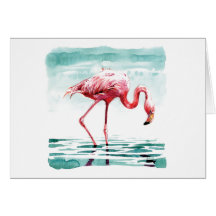 Greater flamingo card