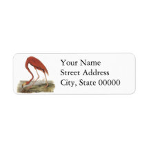 Greater Flamingo, John Audubon Return Address Label