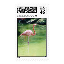 Greater Flamingo Stamp