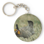 Greater prairie-chicken keychains