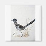 Greater roadrunner magnets