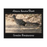 Greater Roadrunner Postcard