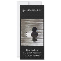 Greater Scaup Drake Rack Cards