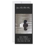 Greater Scaup Drake Rack Cards