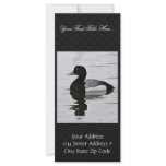 Greater Scaup Drake Personalized Rack Card