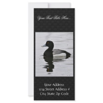 Greater Scaup Drake Personalized Rack Card