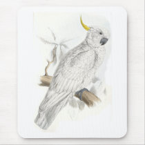 Greater Sulphur-Crested Cockatoo by Edward Lear Mouse Pad