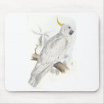 Greater Sulphur-Crested Cockatoo by Edward Lear Mouse Mat