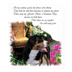 Greater Swiss Mountain Dog Art Print print